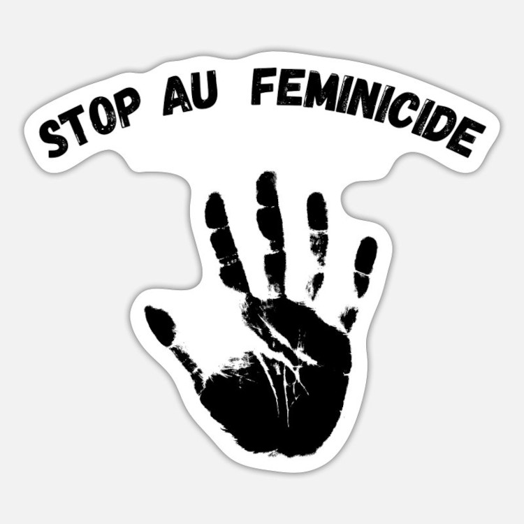 Féminicides   au Cameroun : Le Brucep tire la sonnette d’alarme au cours de la JIF 