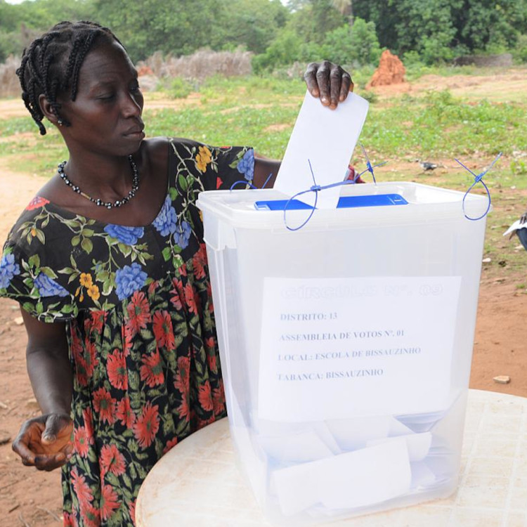 Élections au Cameroun : Elecam désactive le lien de vérification des inscriptions électorales