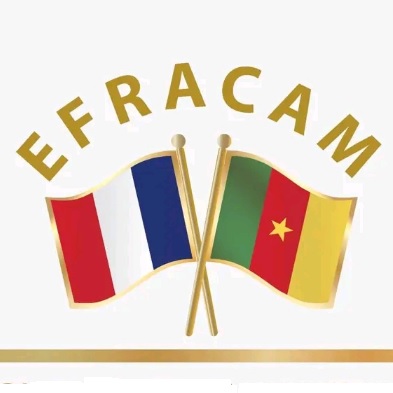 Actualité du 2nd Tour des Législatives 2024 en France: l'Association EFRACAM réagit