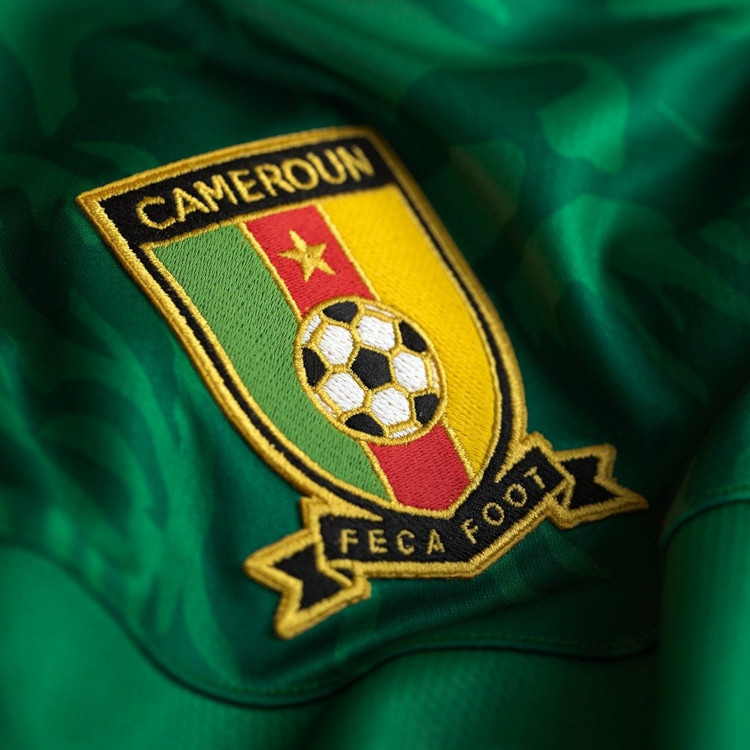 La Fecafoot snobe l'Onies et choisit des stades privés pour la Coupe du Cameroun