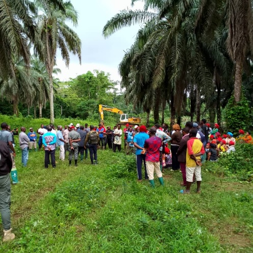 Édéa,le renouvellement des plantations de la Socapalm contesté par la communauté villageoise d’Apouh