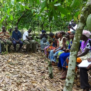 Les cacaoculteurs de la région du Sud-Ouest  appellent à la candidature de Paul BIYA