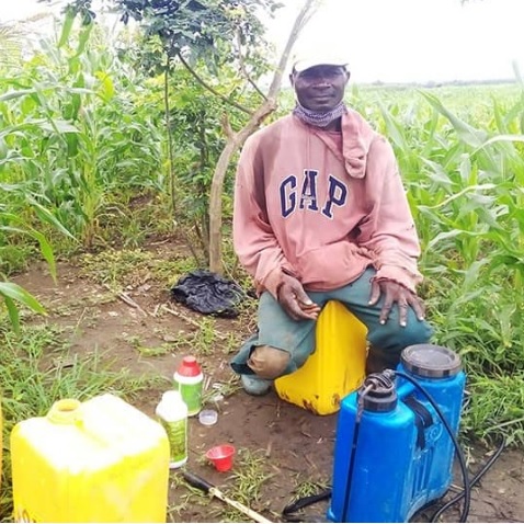 Utilisation des Herbicides à l’Ouest Cameroun : Un Enjeu économique et environnemental