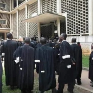 Violations des Droits Humains au Cameroun: Torturés, ces avocats du Mrc n’ont été pas désarmés